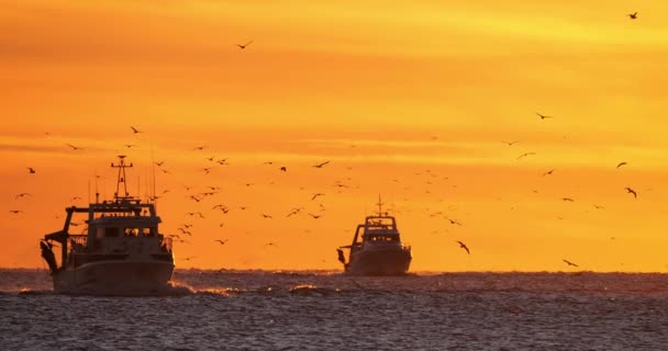 Rybářské Lodě Vracející Přístavu Při Západu Slunce Francie — Stock video