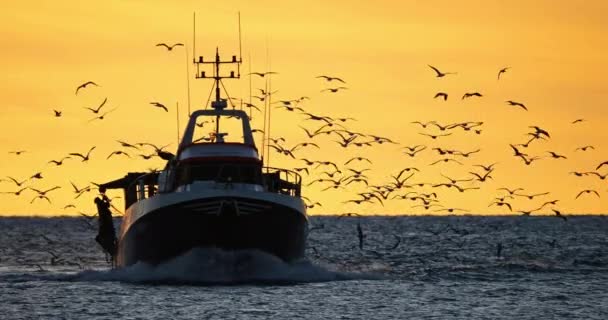 항구로 돌아오는 어선들 프랑스 — 비디오