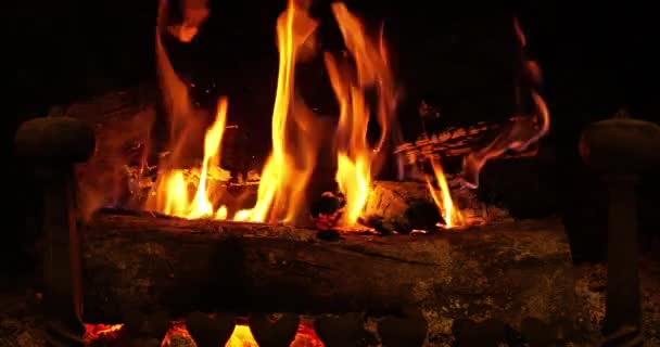 客厅里的壁炉要舒适舒适地生活 — 图库视频影像