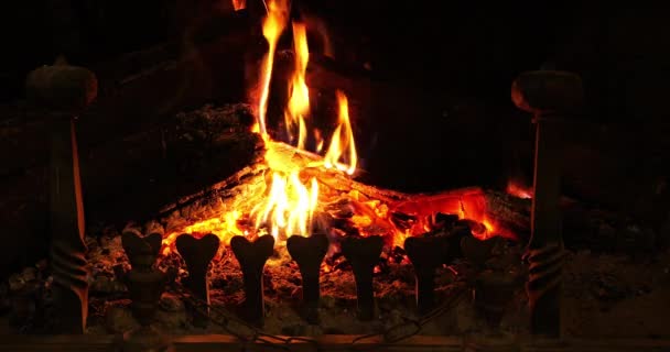 客厅里的壁炉要舒适舒适地生活 — 图库视频影像