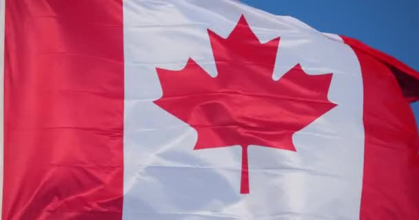Les Drapeaux Nationaux Canadiens Agitant Vent — Video