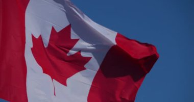 Ulusal Kanada bayrakları rüzgarda dalgalanıyor.