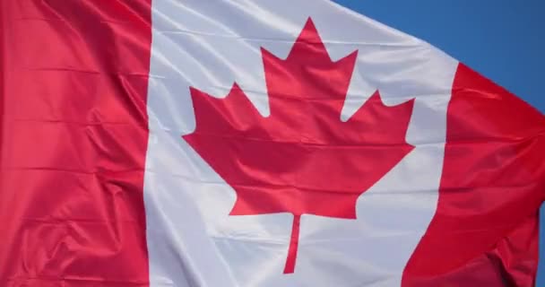 Державні Канадські Прапори Махали Вітром — стокове відео