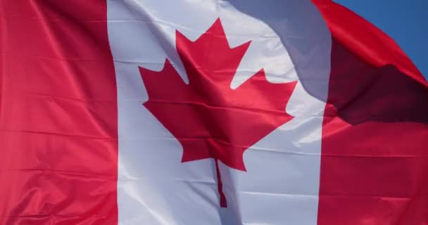 Las Banderas Nacionales Canadienses Ondeando Viento — Vídeo de stock