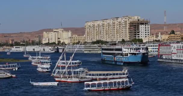 Круїзні Кораблі Причалені Річці Ніл Асуані Єгипет — стокове відео