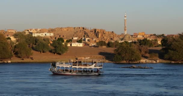 Toeristische Boten Nijl Aswan Egypte — Stockvideo
