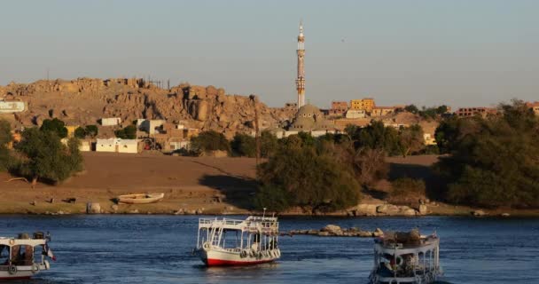 Toeristische Boten Nijl Aswan Egypte — Stockvideo