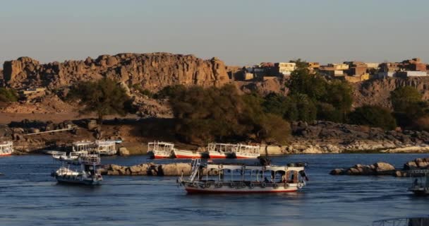 Tourist Boats Nile River Aswan Egypt — Stock Video
