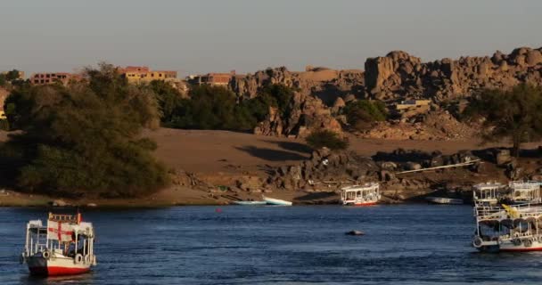 Туристичні Човни Річці Ніл Асуан Єгипет — стокове відео