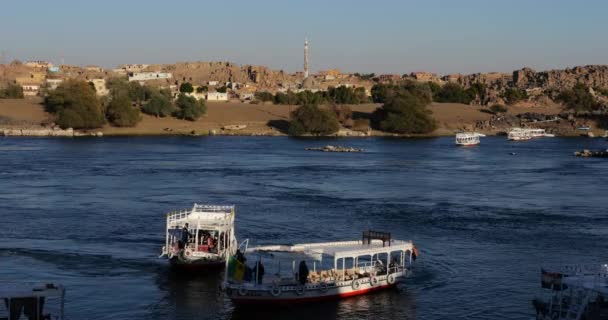 ナイル川 アスワン エジプトの観光船 — ストック動画