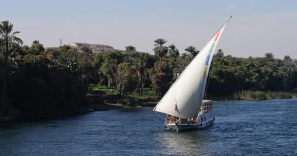 Круизные Суда Реке Нил Между Луксор Асуан Верхний Египет — стоковое видео