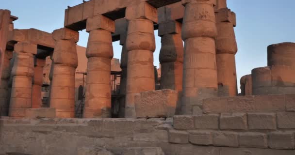 Estatua Del Faraón Ramsés Templo Luxor Luxor Egipto — Vídeos de Stock