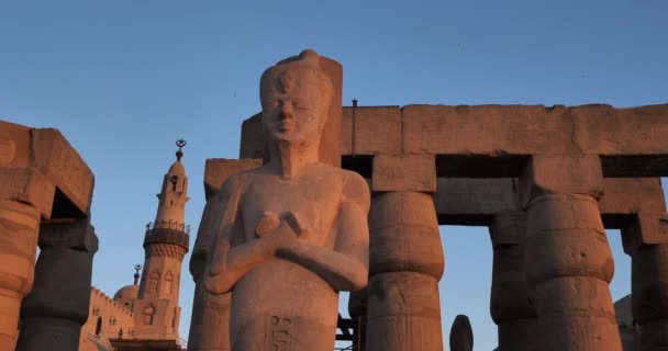 埃及卢克索神庙法老拉米塞斯雕像 — 图库视频影像