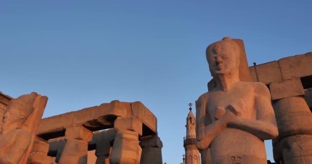 埃及卢克索神庙法老拉米塞斯雕像 — 图库视频影像