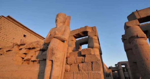 Socha Faraona Ramesese Luxor Temple Luxor Egypt — Stock video