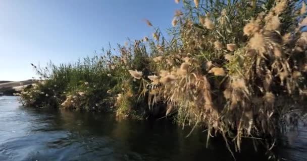 Río Nilo Cerca Asuán Alto Egipto — Vídeos de Stock