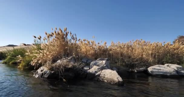 Mısır Yukarısında Aswan Yakınlarındaki Nil Nehri — Stok video
