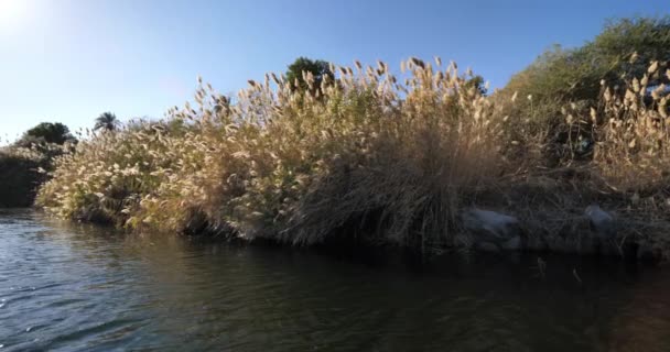 Nile River Aswan Upper Egypt — Stock Video
