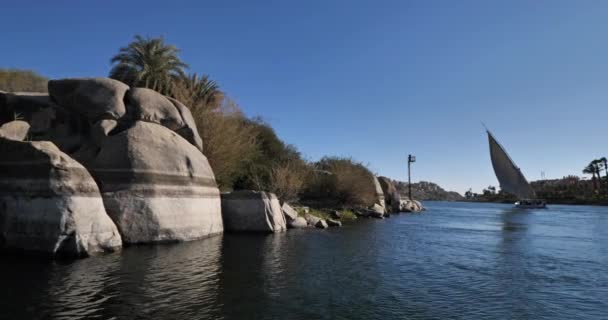 Ποταμός Νείλος Κοντά Στο Ασουάν Άνω Αίγυπτος — Αρχείο Βίντεο
