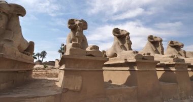 Mısır 'ın Luxor kentindeki Karnak Tapınağı' nın girişinde koçlar var.