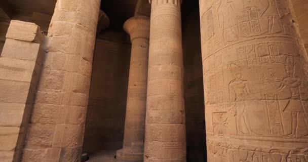 Tempel Van Karnak Luxor Egypte — Stockvideo
