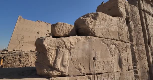Храм Гора Едфу Верхній Єгипет — стокове відео