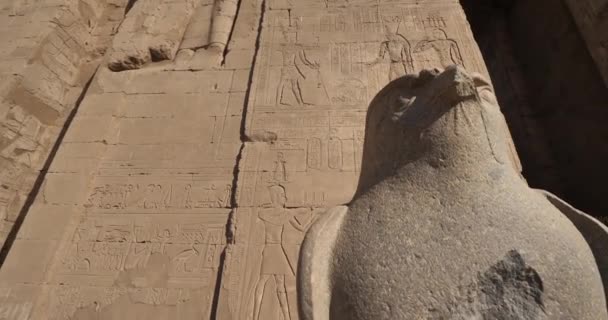 Falkgranitstaty Horus Edfu Tempe Övre Egypten — Stockvideo