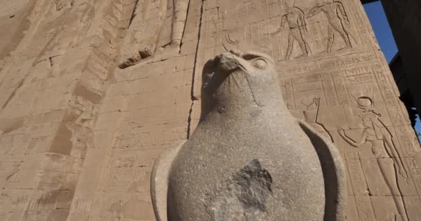 ホルスのファルコン花崗岩像 エドフ寺院 上エジプト — ストック動画
