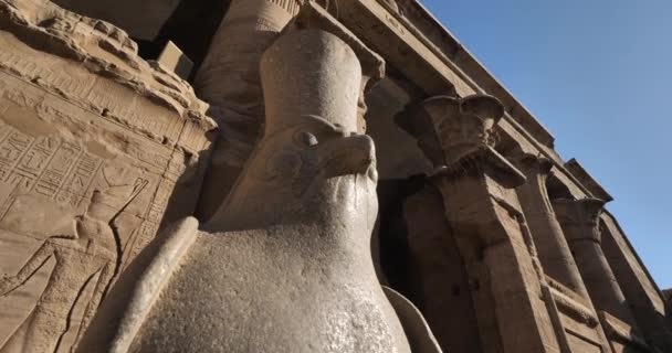 Falkgranitstaty Horus Edfu Tempe Övre Egypten — Stockvideo