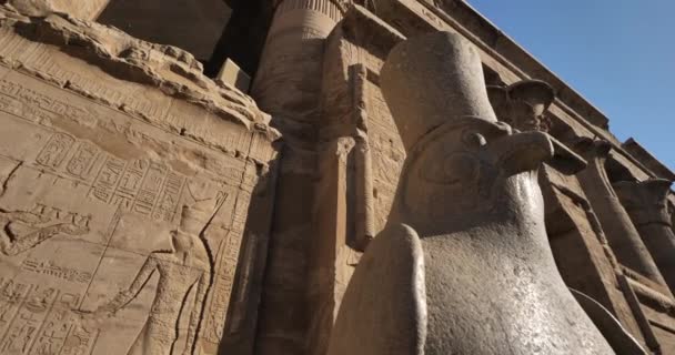 Γεράκι Γρανίτη Άγαλμα Του Ώρου Edfu Tempe Άνω Αίγυπτος — Αρχείο Βίντεο