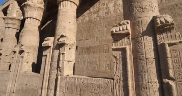 上埃及Edfu的Horus圣殿 — 图库视频影像