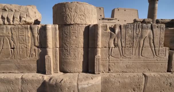 Tempel Van Horus Edfu Opper Egypte — Stockvideo
