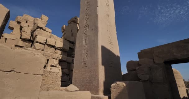 Ναός Του Καρνάκ Luxor Αίγυπτος — Αρχείο Βίντεο