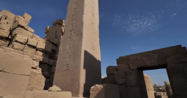 Ναός Του Καρνάκ Luxor Αίγυπτος — Αρχείο Βίντεο