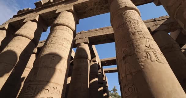 Karnak Templom Luxor Egyiptom — Stock videók