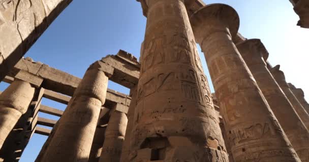 カルナック神殿 ルクソール エジプト — ストック動画