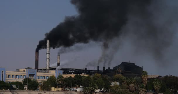 エジプトのルクソールのナイル川の南岸に位置する砂糖精製所の煙突スタックからの煙の法案 — ストック動画