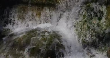Lunaret Doğa Koruma Alanı, Montpellier, Hrault Bölümü, Occitan, Fransa. Lez nehri.