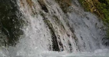 Lunaret Doğa Koruma Alanı, Montpellier, Hrault Bölümü, Occitan, Fransa. Lez nehri.