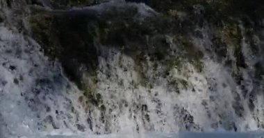 Lunaret Doğa Koruma Alanı, Montpellier, Hrault Bölümü, Occitan, Fransa. Lez nehri.