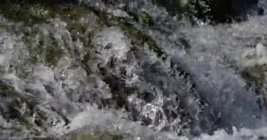 Lunaret Doğa Koruma Alanı, Montpellier, Hrault Bölümü, Occitan, Fransa. Lez nehri.