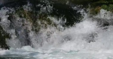 Lunaret Doğa Koruma Alanı, Montpellier, Hrault Bölümü, Occitan, Fransa. Lez nehri.