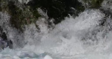 Lunaret Doğa Koruma Alanı, Montpellier, Hrault Bölümü, Occitan, Fransa. Lez nehri.