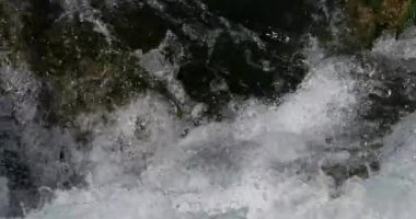 Lunaret Doğa Koruma Alanı, Montpellier, Hrault Bölümü, Occitan, Fransa. Lez nehri.
