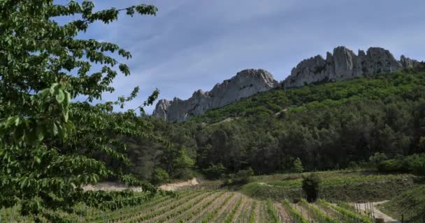 Dentelles Montmirail Vaucluse Departmanı Provence Fransa — Stok video