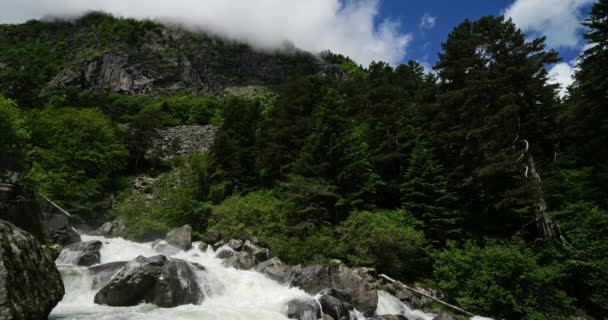 Der Wasserfall Von Lutour Pont Espagne Hautes Pyrenees Frankreich — Stockvideo
