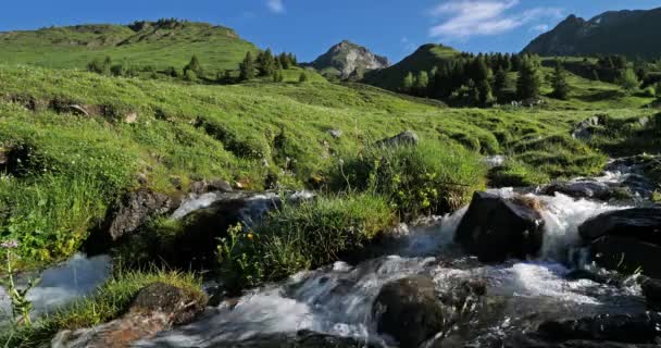 Pase Tourmalet Altos Pirineos Occitania Francia — Vídeos de Stock