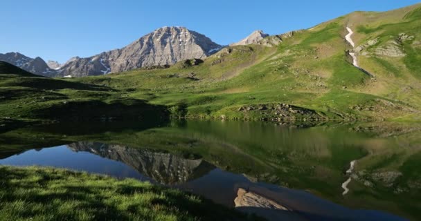 Especies Eller Luhos Sjön Tentes Pass Hautes Pyrenéerna Occitanien Frankrike — Stockvideo