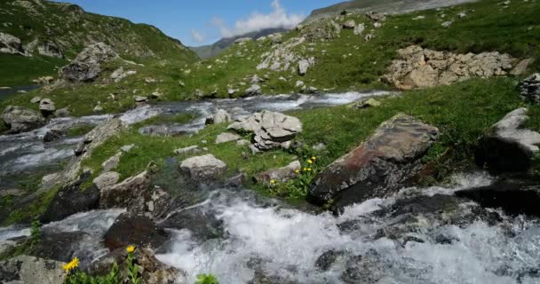 Cyrk Troumouse Hautes Pireneje Occitania Francja — Wideo stockowe