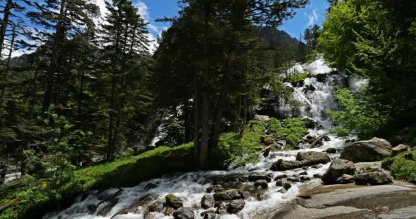 Der Gaube Wasserfall Pont Espagne Cauterets Hautes Pyrenees Frankreich — Stockvideo